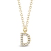 Thumbnail Image 1 of Shy Creation Diamond Initial D Necklace 1/20 ct tw 14K Yellow Gold 18" J-SC55007904-D