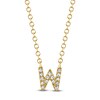 Thumbnail Image 1 of Shy Creation Diamond Initial W Necklace 1/20 ct tw 14K Yellow Gold 18" J-SC55007904-W