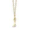Thumbnail Image 2 of Shy Creation Diamond Accent Initial Z Necklace 14K Yellow Gold 18" J-SC55007904-Z