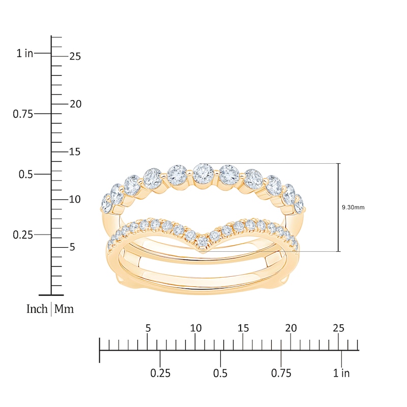 &nbsp;