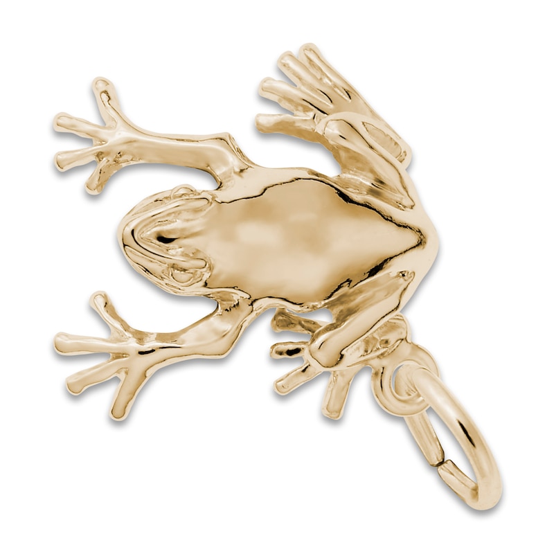 On the ground Soar argument Frog Charm 14K Yellow Gold | Jared