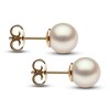 Thumbnail Image 2 of Yoko London Freshwater Cultured Pearl Stud Earrings 18K Yellow Gold