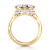 Thumbnail Image 2 of J'Lure Carre Step-Cut Lab-Created Diamond Engagement Ring 4-1/2 ct tw 18K Yellow Gold