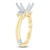 Thumbnail Image 2 of Pnina Tornai Lab-Grown Diamond Engagement Ring Setting 3/4 ct tw 14K Yellow Gold