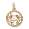 Cancer-Crab Charm 14K Yellow Gold