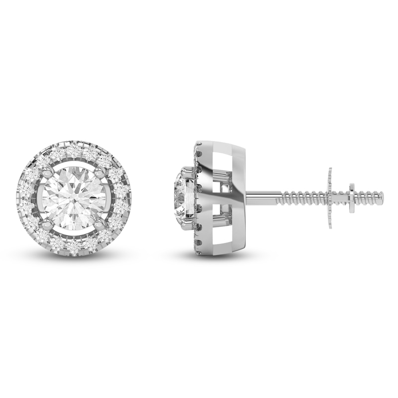 Main Image 4 of Lab-Grown Diamond Earring Jackets 1/8 ct tw 10K White Gold (Jacket Only)