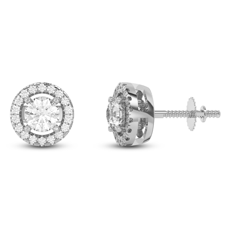 Main Image 5 of Lab-Grown Diamond Earring Jackets 1/8 ct tw 10K White Gold (Jacket Only)