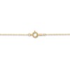 Thumbnail Image 1 of Textured Disc Necklace 10K Yellow Gold 17"