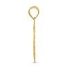 Thumbnail Image 2 of Polished Pisces Zodiac Charm 14K Yellow Gold
