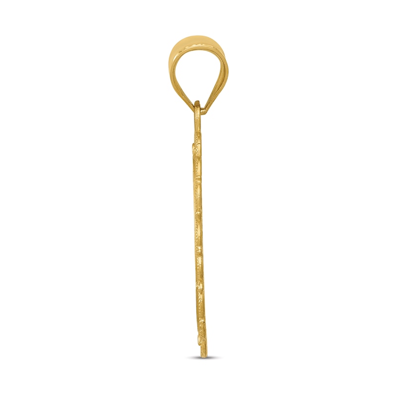 Main Image 2 of Polished Leo Zodiac Charm 14K Yellow Gold