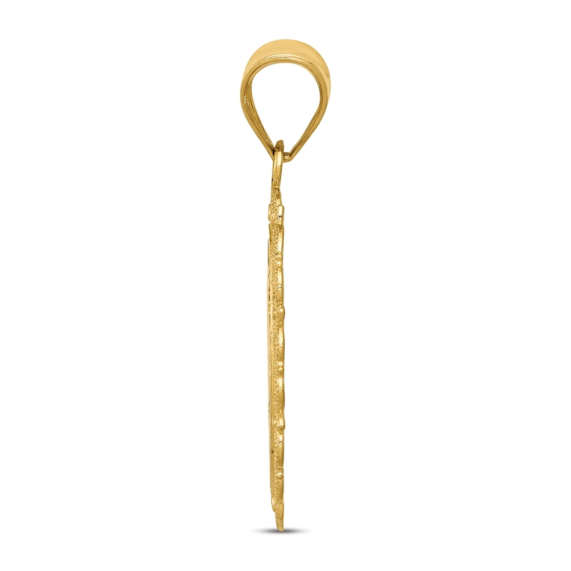 Main Image 2 of Polished Capricorn Zodiac Charm 14K Yellow Gold