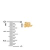 Thumbnail Image 2 of Children's Elephant Stud Earrings 14K Yellow Gold