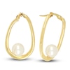 Thumbnail Image 1 of Freshwater Cultured Pearl Hoop Earrings 14K Yellow Gold