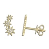 Thumbnail Image 1 of Shy Creation Diamond Star Stud Earrings 1/20 ct tw 14K Yellow Gold SC55006158