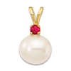 Thumbnail Image 1 of Freshwater Cultured Pearl & Natural Ruby Necklace Charm 14K Yellow Gold