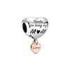 Thumbnail Image 1 of PANDORA Rose Love U Mom Infinity Heart Charm