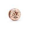 Thumbnail Image 1 of PANDORA Rose Reflexions Sparkling Family Tree Charm