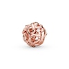 Thumbnail Image 0 of PANDORA Rose Openwork Woven Infinity Charm