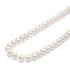 Thumbnail Image 3 of Yoko London White Freshwater Cultured Pearl Necklace 18K Yellow Gold 18"