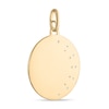 Thumbnail Image 3 of Men's Diamond Lion Medallion Charm 1/6 ct tw 10K Yellow Gold
