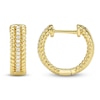 Thumbnail Image 1 of Shy Creation Diamond Rope Twist Hoop Earrings 1/20 ct tw 14K Yellow Gold SC55024717
