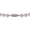 Thumbnail Image 3 of Akoya Cultured Pearl Necklace 14K White Gold 6.5-7mm 20"