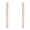 &nbsp;