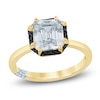 Thumbnail Image 1 of &nbsp;Pnina Tornai Square Emerald-Cut Lab-Grown Diamond & Black Diamond Halo Engagement Ring 2-7/8 ct tw 14K Yellow Gold