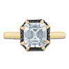 Thumbnail Image 3 of &nbsp;Pnina Tornai Square Emerald-Cut Lab-Grown Diamond & Black Diamond Halo Engagement Ring 2-7/8 ct tw 14K Yellow Gold