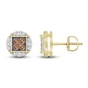 Thumbnail Image 0 of Bourbon-Colored Diamonds Men's White & Brown Diamond Earrings 3/4 ct tw Round 10K Yellow Gold