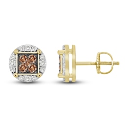 Bourbon-Colored Diamonds Men's White & Brown Diamond Earrings 3/4 ct tw Round 10K Yellow Gold
