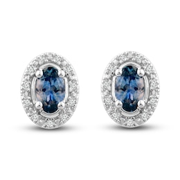Montana Blue Natural Sapphire Stud Earrings 1/20 ct tw Diamonds 10K White Gold