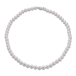 Akoya Cultured Pearl Necklace 14K White Gold 6.5-7mm 18"