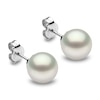 Thumbnail Image 1 of Yoko London White South Sea Cultured Pearl Stud Earrings 18K White Gold