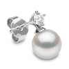 Thumbnail Image 3 of Yoko London Akoya Cultured Pearl Dangle Earrings 1/5 ct tw Diamonds 18K White Gold