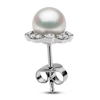 Thumbnail Image 4 of Yoko London Freshwater Cultured Pearl Stud Earrings 1/4 ct tw Diamonds 18K White Gold
