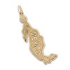Mexico Map Charm 14K Yellow Gold