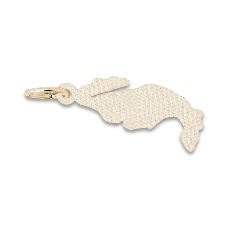 Mexico Map Charm 14K Yellow Gold